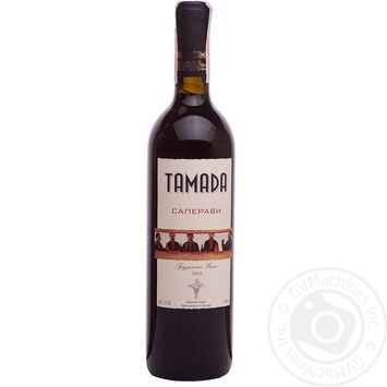 Wine saperavi Tamada red dry 13% 2005year 750ml glass bottle Georgia - buy, prices for MegaMarket - photo 1