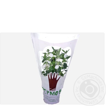 Fermove fresh greens basil - buy, prices for METRO - photo 1