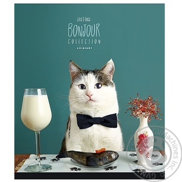 Star Exercise book 36 sheets squared - buy, prices for Chudo Market - photo 8