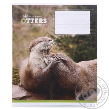 Star Exercise book 18 sheets lined - buy, prices for MegaMarket - photo 1