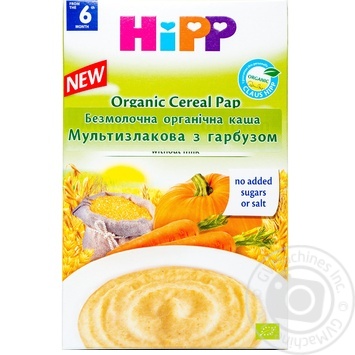 Pap Hipp pumpkin dairy-free for children 200g - buy, prices for MegaMarket - photo 2