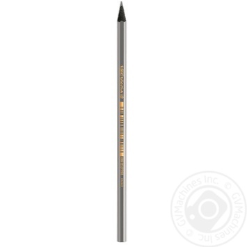 Олівець Bic Evolution чорний х12 купити, ціни на МегаМаркет - фото 1