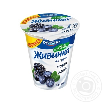 Йогурт Danone Живинка Черные ягоды 1,5% 280г купить, цены на МегаМаркет - фото 1