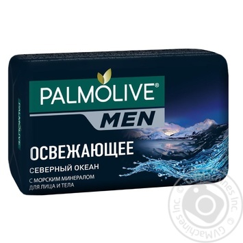 Мыло Palmolive Men Северный океан освежающее с морским минералом для лица и тела 90г купить, цены на МегаМаркет - фото 1