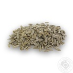 Seeds sunflower dry