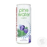 Напиток безалкогольный Моршинская плюс Pine Water Черника и Ежевика с экстрактом сосновой хвои 0,33л
