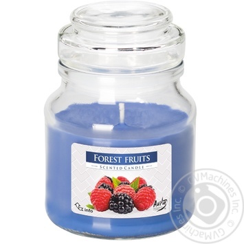 Bispol Forest Berries Candle - buy, prices for MegaMarket - photo 1