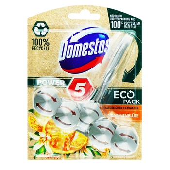 Блок для унитаза Domestos Power 5 Цветы мандарина 55г
