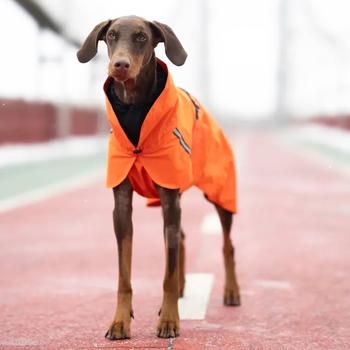 Noble Pet Rio Raincoat for Dogs s.6XL Orange - buy, prices for COSMOS - photo 5