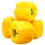 Yellow Pepper