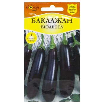 Bahatiy Vrozhay Eggplant Violet Seeds 0.5g - buy, prices for COSMOS - photo 1