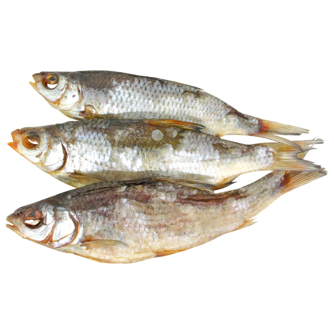 

Плотва Сила звички вяленая икорная