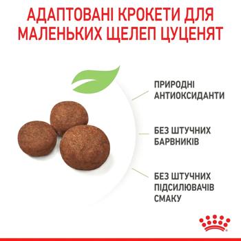 Корм сухий Royal Canin Medium Puppy з домашньою птицею для цуценят середніх порід 3кг - купити, ціни на MasterZoo - фото 5