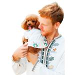 Вишиванка чоловіча Pet Fashion Ostap L