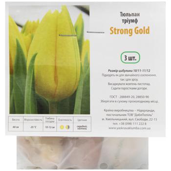 bulb 3pcs Ukraine