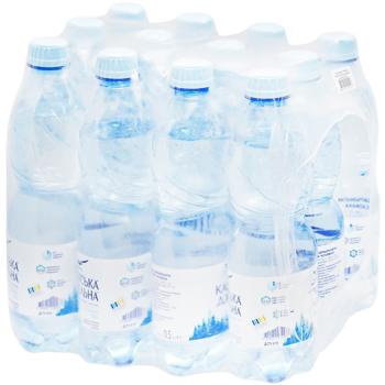 Karpatska Dzherelna Non-Carbonated Mineral Water 0.5l - buy, prices for Epicentr FOOD - photo 5