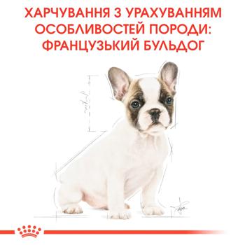 Корм сухой Royal Canin с домашней птицей для щенков породы французский бульдог 1кг - купить, цены на MasterZoo - фото 7