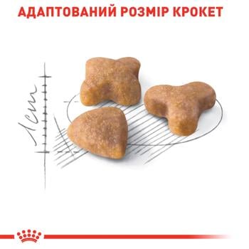 cat food royal canin 400g - buy, prices for - photo 5