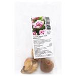 Цибулина Тюльпан Фінола повний пізній 3шт