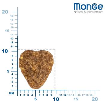 Корм сухий Monge Indoor з куркою та рисом для домашніх котів 400г - купити, ціни на MasterZoo - фото 2