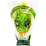 Салат Пучок-Свежачок 170г