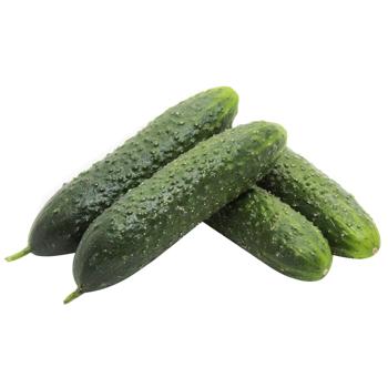 Gherkin Cucumber Import ~20cm - buy, prices for METRO - photo 2