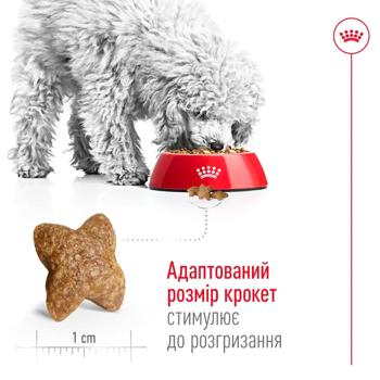 Сухий корм для собак Royal Canin Mini Adult 1,6 кг + 400 г - домашня птиця - купить, цены на MasterZoo - фото 4