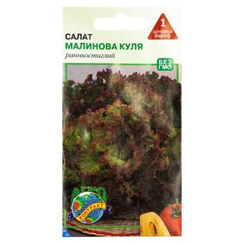 Насіння Агроконтракт Салат Малинова куля 1г - купити, ціни на Чудо Маркет - фото 1