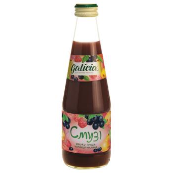 Galicia Apple-Pear-Blueberry-Raspberry Smoothies 0.3l - buy, prices for AlcoHub - photo 1