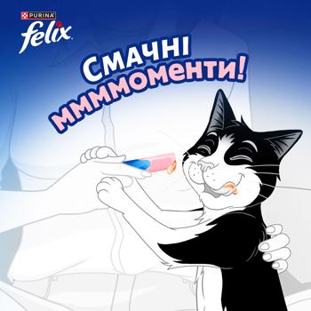 Корм дополнительный Felix Deli Moments с лососем для взрослых и пожилых кошек 40г - купить, цены на MasterZoo - фото 5