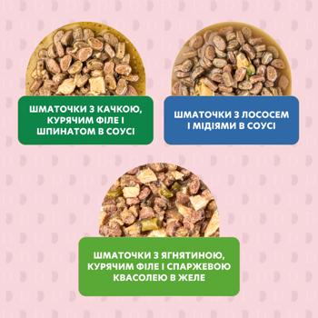 Delickcious Set №3 Adult Cat Wet Food Set 330g - buy, prices for Auchan - photo 4
