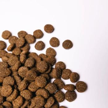 Savory Dry Food with Turkey and Chicken for Puppies of Large Breeds 12kg - buy, prices for - photo 3