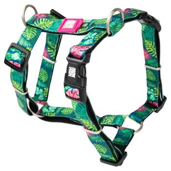 Leash Max and molly Germany - buy, prices for MasterZoo - photo 2
