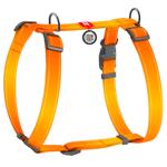 Шлея для собак Collar Nylon Mono H-подібна L - помаранчевий
