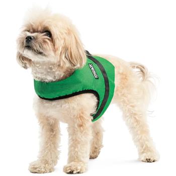 Leash Pet fashion - buy, prices for MasterZoo - photo 5