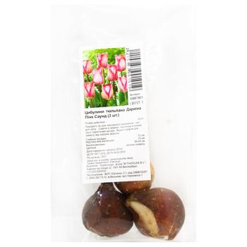 Darwin Pink Sound Tulip Bulb 3pcs - buy, prices for Za Raz - photo 1