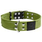 Нашийник для собак COLLAR Подвійний XL - зелений