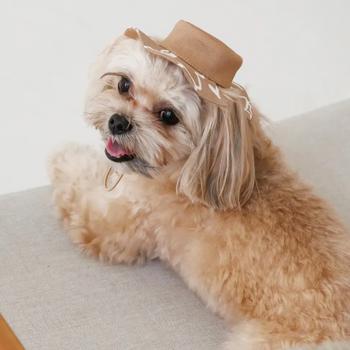 Pet Fashion Print Dog Panama s.XS Beige - buy, prices for MasterZoo - photo 7