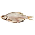 Kontynent Dried Bream