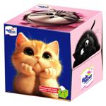 Paper napkins Bud laska 80pcs cardboard box