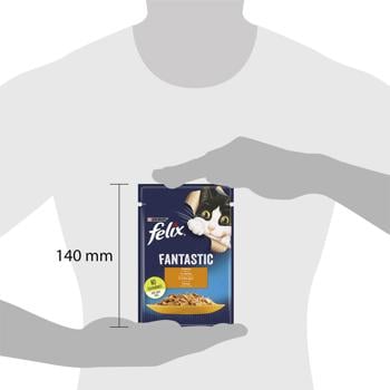 Корм вологий Felix Fantastic з куркою для котів 85г - купити, ціни на КОСМОС - фото 3