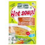 Суп грибной Тётя Соня Горячий супчик с гренками 15г