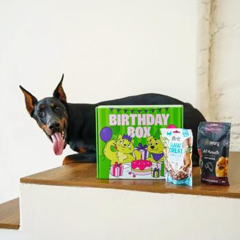 Набір Birthday Box для собак великих та середніх порід - купить, цены на MasterZoo - фото 4