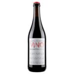 Cascina Degli Ulivi Semplicemente Dry Red Wine 13.5% 0.75l