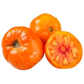 Ukraine Tomato Madrid