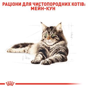 Royal Canin Dry Food for Cats of Maine Coon Breed 2kg - buy, prices for MasterZoo - photo 4