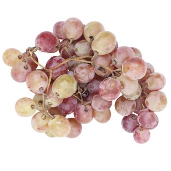 Grape - buy, prices for - photo 3