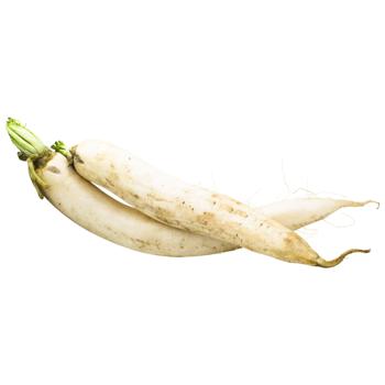 Daikon Radish - buy, prices for METRO - photo 2