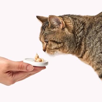 Ласощі для котів Delickcious Creamy Snack з ягням, коричневим рисом та цукіні 4шт*15г - купити, ціни на MasterZoo - фото 7