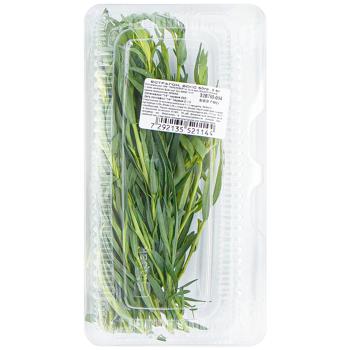 Tarragon